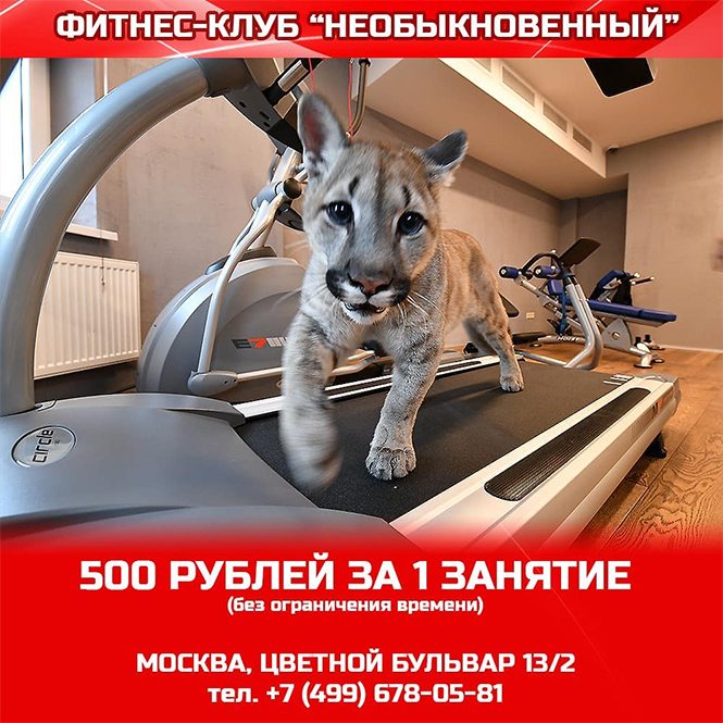 Визит салон модной стрижки
